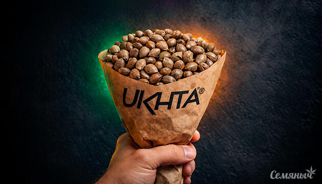 Новый сидбанк UKHTA