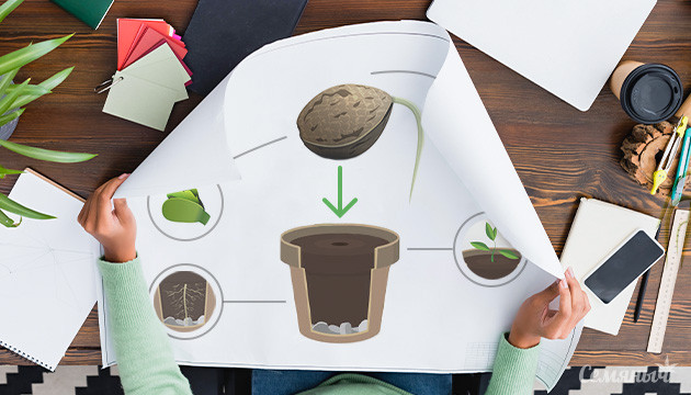 Инструкция по высадке семян конопли