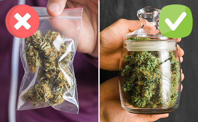 Процесс заморозки соцветий каннабиса