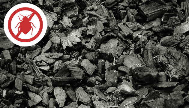 Древесная зола от вредителей