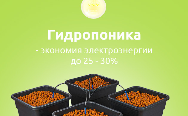 Экономия электроэнергии с помощью гидропоники