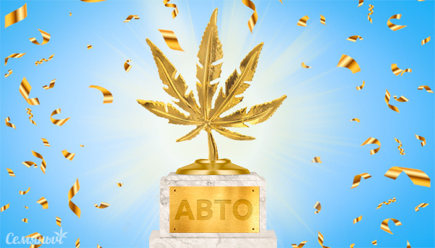 Лучшие автоцветущие сорта конопли