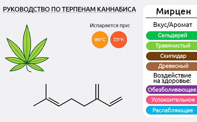 Свойства терпена мирцена