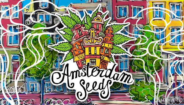 Новые семена конопли — Amsterdam Seeds