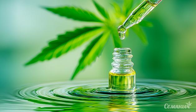 КБД как адаптоген: поддержка организма при стрессе и восстановление баланса