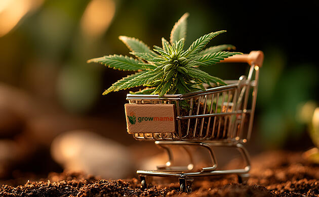 Магазин для выращивания каннабиса Growmama