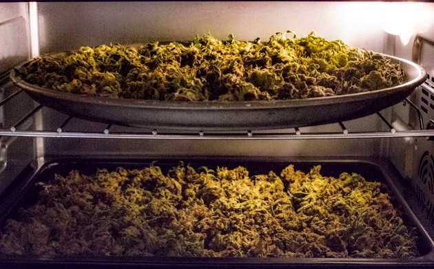 Суп с коноплей и шампиньонами