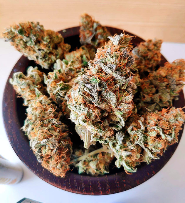 Сухие шишки