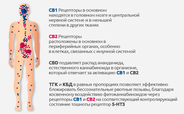 Применение КБД при стрессовых расстройствах