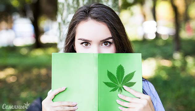 Марихуана и факты про неё