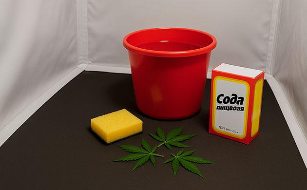 Пищевая сода для уборки гроубокса и защиты конопли от плесени