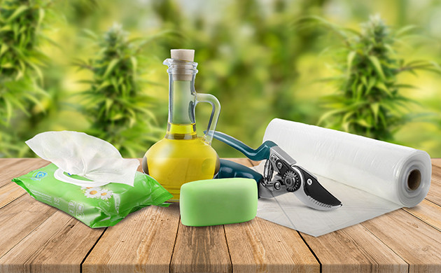 Необходимый инвентарь для сбора урожая