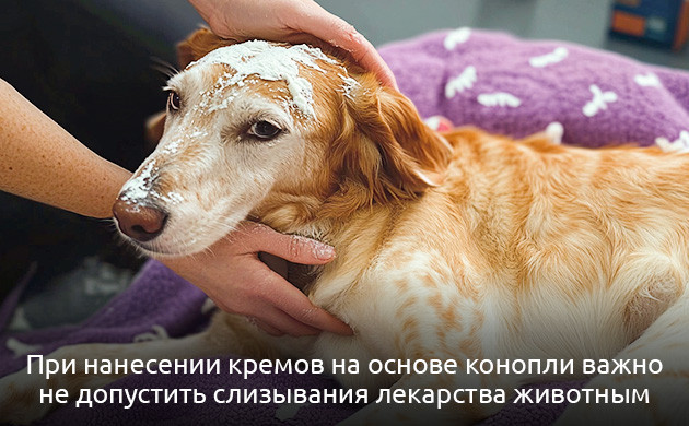 Мази и кремы с каннабиноидами для питомцев