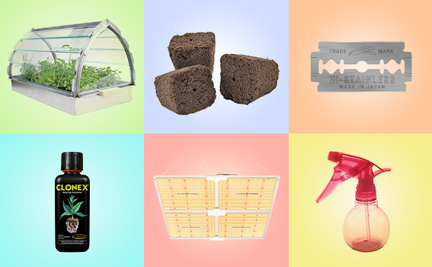 Материалы для укоренения клонов