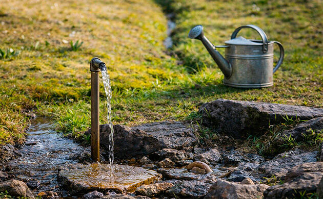Вода из скважины для полива конопли