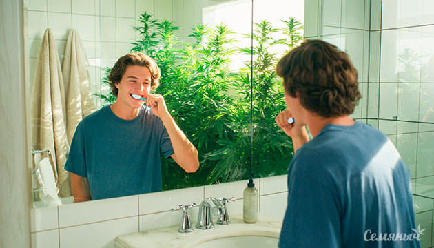 Влияние марихуаны на ротовую полость