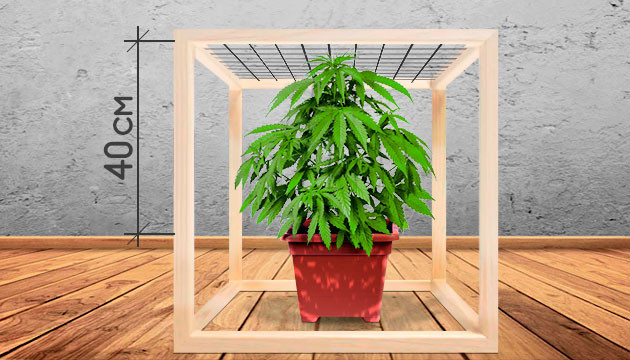 Сетка на высоте 40 см над горшком