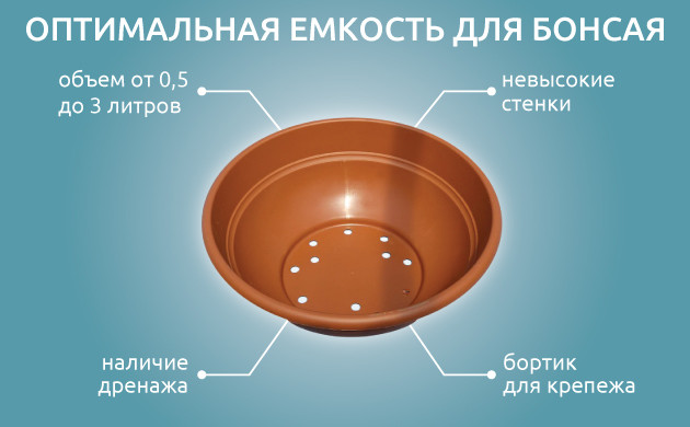 Горшки для каннабис-бонсай