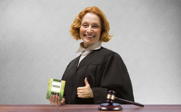 Конопля и закон