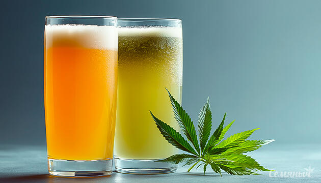 Конопляное пиво и его необычный вкус