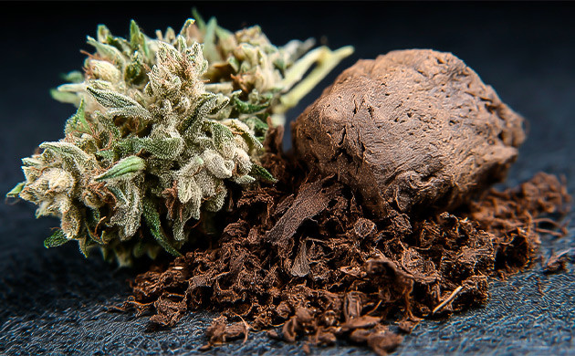 История гуано