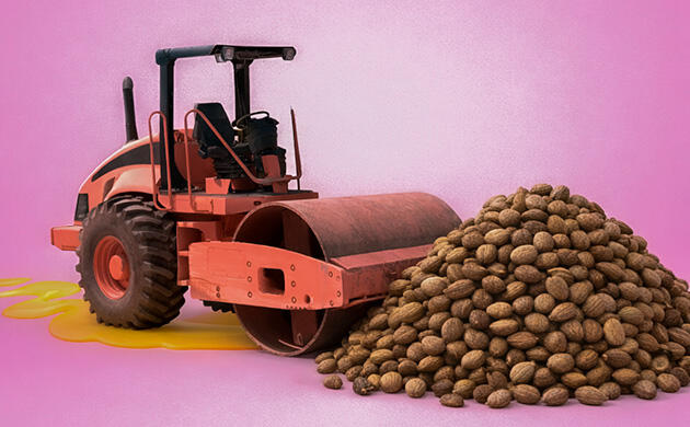 Семена конопли и производство натурального масла