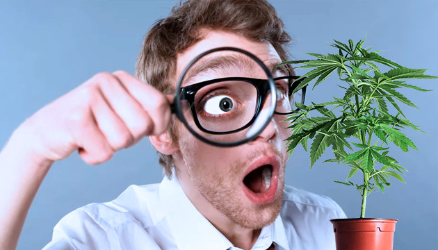 Избыточная забота