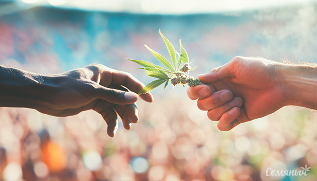 Поддержание и распространение уникальности каннабиса