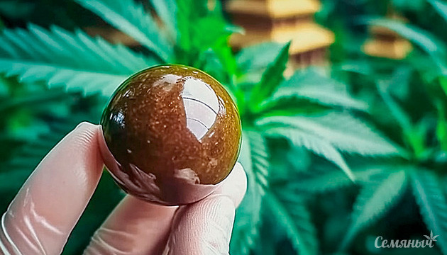 Древний экстракт каннабиса и его применение