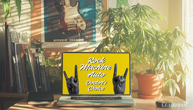 Сорт Rock Machine Auto от сидбанка Doctor's Choice