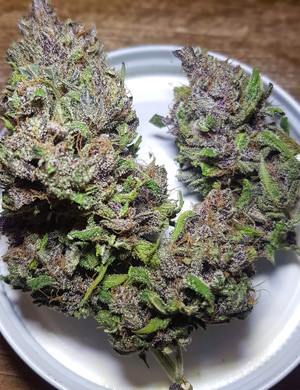 Урожай LSD Auto