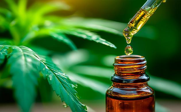 КБД: каннабиноид для снижения стресса и поддержания баланса организма