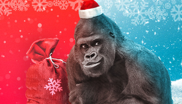 Новогодняя акция