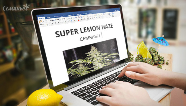 Гроурепорт сорта марихуаны Super Lemon Haze