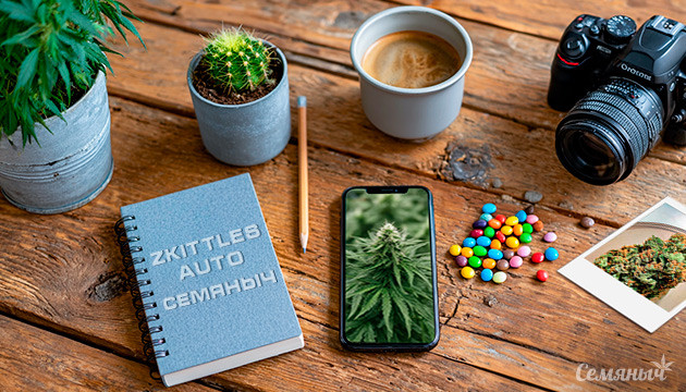 Гроурепорт сорта Zkittles Auto от сидбанка Семяныч