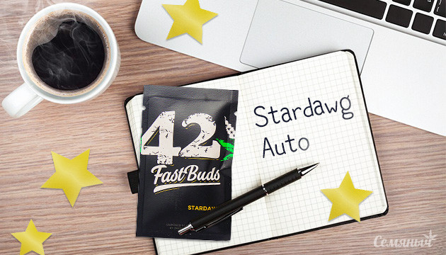 Гроурепорт сорта марихуаны Stardawg auto