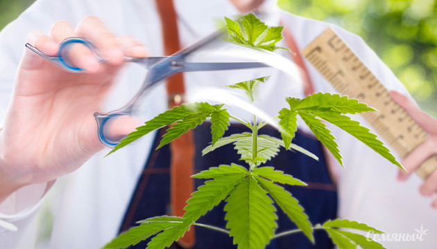 Методы топпинг и фимминг