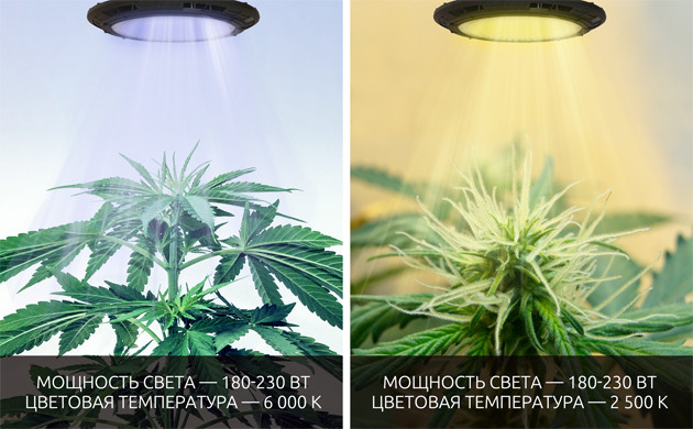 Освещение в гроубоксе