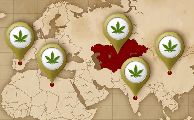 Пути распространения конопли вдоль торговых маршрутов