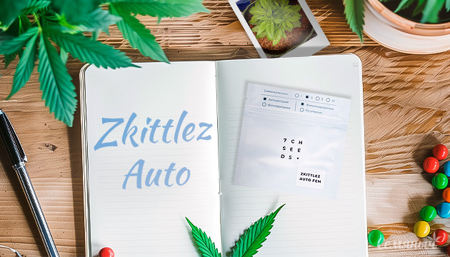 Гроурепорт по выращиванию сорта Zkittlez Auto
