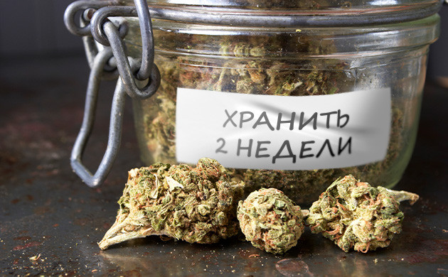 Современные тренды в пролечке марихуаны