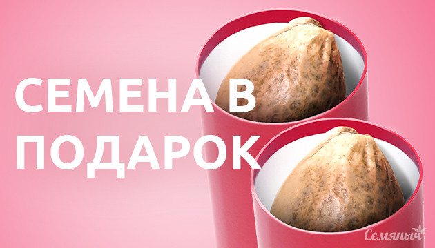 Семена в подарок