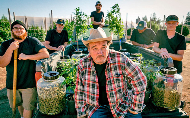 Фото с фермы марихуаны Джеймса Белуши