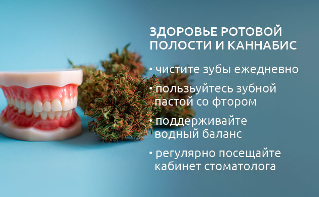 Здоровье полости рта при употреблении каннабиса
