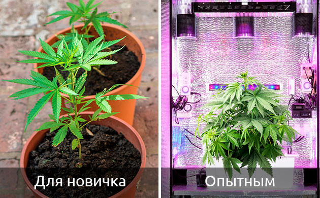 место для культивации растений