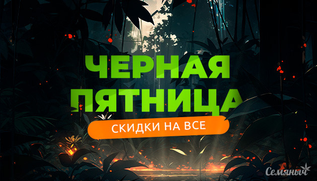 Черная пятница