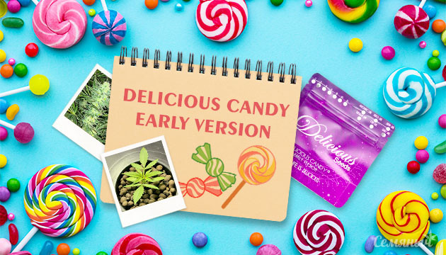 Гроурепорт сорта конопли Delicious Candy Early Version