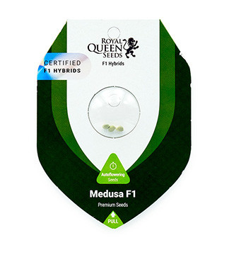 Medusa F1 Auto fem (RQS)