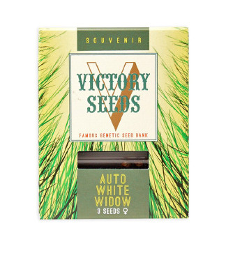 Auto White Widow fem (Victory Seeds)
