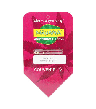 Master Kush fem (Nirvana Seeds)